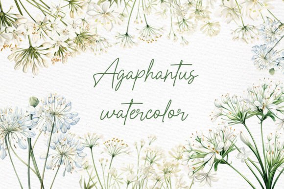 Download White Wild Flowers Clipart Watercolor - Wild flowers clipart Collection