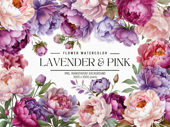 Download Lavender &amp; Pink Flowers Watercolor - Flowers watercolor Collection