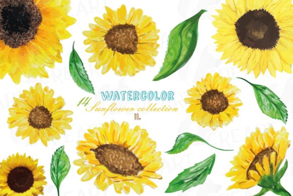 Download Sunflowers Watercolor Decor Elements Png - Flowers watercolor Collection
