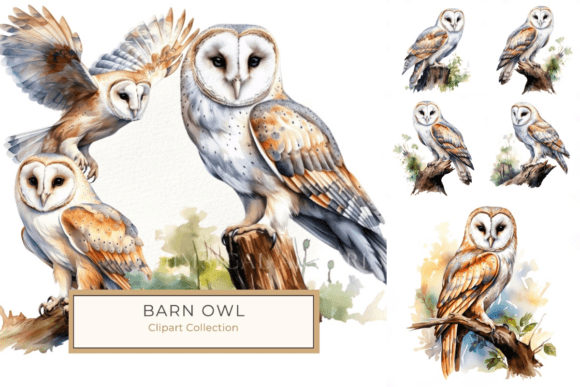Download Elegant Watercolor Barn Owl on Branch - Watercolor barn Collection